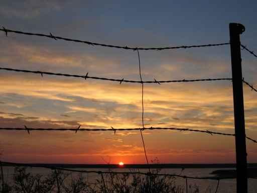 Barbed Wire Wall Decal