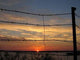 Barbed Wire Wall Decal