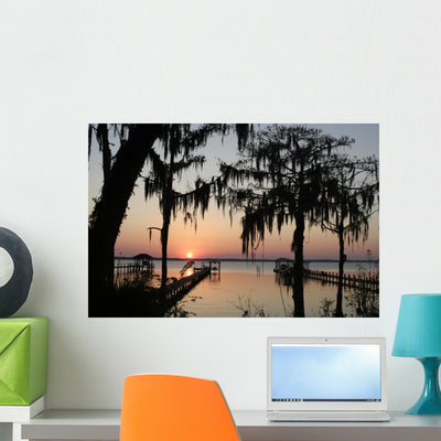 Old Florida Wall Mural shown on a wall