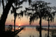 Old Florida Wall Mural