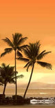 Dream Sunset Wall Decal