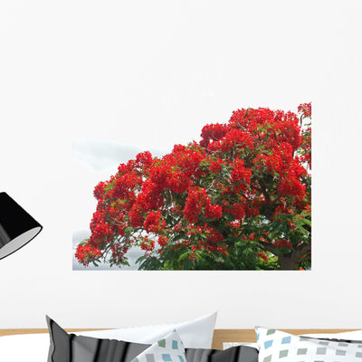 Flamboyant Des Les Wall Decal shown on a wall