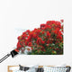 Flamboyant Des Les Wall Decal