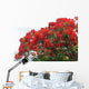 Flamboyant Des Les Wall Decal