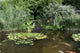 Aquatic Garden Wall Decal