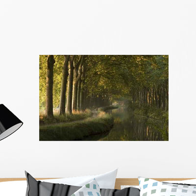 Canal Du Midi Morning Wall Decal shown on a wall