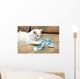 Cat Count Money Wall Decal