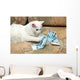 Cat Count Money Wall Decal