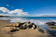 Pile of Rocks on a Tropical Beach Wall Mural