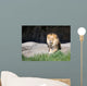 African Lion Sitting Rock Wall Mural