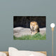 African Lion Sitting Rock Wall Mural