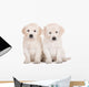 two golden retriever puppies sitting on white Wall Decal
