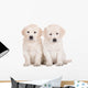 two golden retriever puppies sitting on white Wall Decal