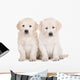 two golden retriever puppies sitting on white Wall Decal