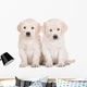 two golden retriever puppies sitting on white Wall Decal