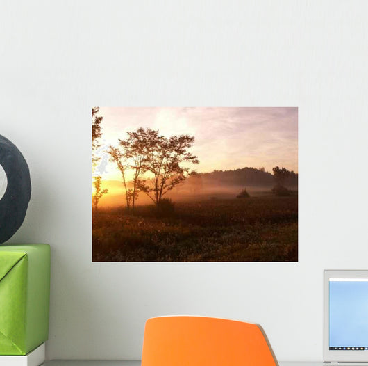 Foggy Morning Wall Decal Design 2