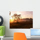Foggy Morning Wall Decal Design 2