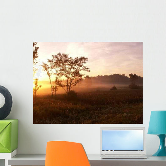 Foggy Morning Wall Decal Design 2