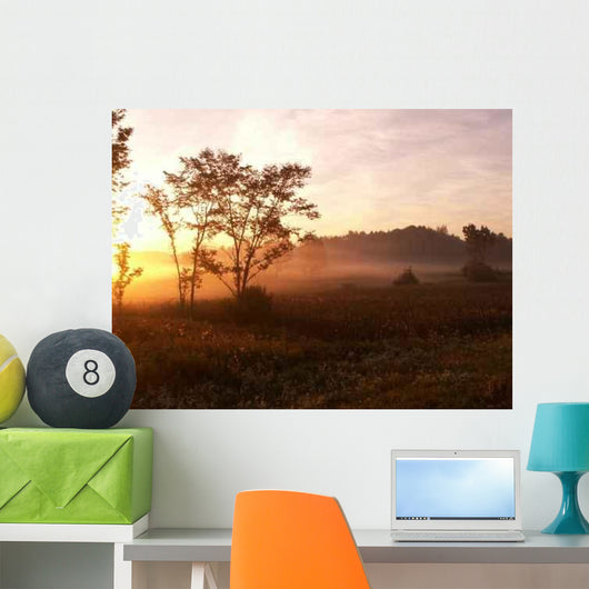 Foggy Morning Wall Decal Design 2