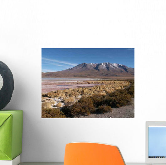 Konica Minolta Digital Camera Wall Decal Design 8