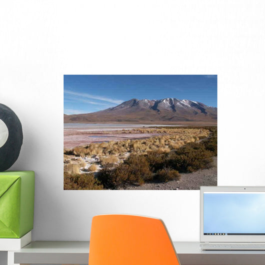 Konica Minolta Digital Camera Wall Decal Design 8