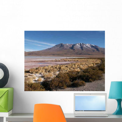 Konica Minolta Digital Camera Wall Decal Design 8 shown on a wall