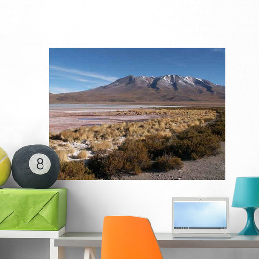 Konica Minolta Digital Camera Wall Decal Design 8