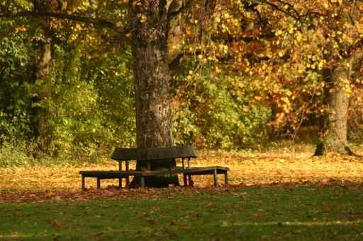 Herbststimmung Wall Decal