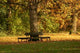 Herbststimmung Wall Decal