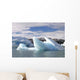 Iceberg Wall Decal Design 4