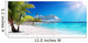 Cruise To Caribbean With Palm tree On Coral Beach
 Wall Mural