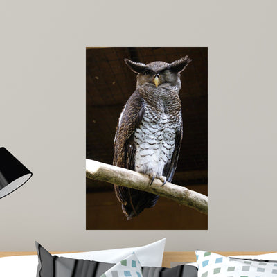 Owl Wall Mural shown on a wall
