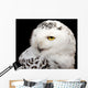 Snowy Owl Wall Mural