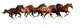 Herd Gallops Wall Mural