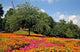 Wall Bremen Wall Decal