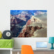 Grand Canyon from above Wall Decal