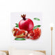 Pomegranate Wall Decal