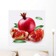 Pomegranate Wall Decal