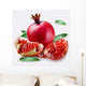 Pomegranate Wall Decal