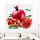 Pomegranate Wall Decal