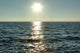Sea Sunset Wall Decal Design 4