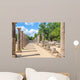 Ruins Ancient Olympia Peloponnes Wall Decal