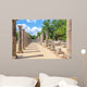 Ruins Ancient Olympia Peloponnes Wall Decal