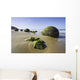 Moeraki Boulder Rocks Wall Decal