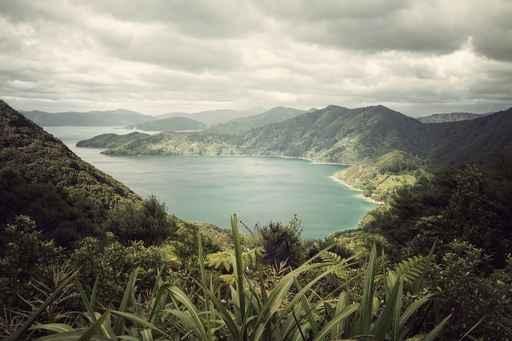 Marlborough Sound Wall Decal
