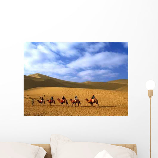 Echoing Sand Hill Wall Decal