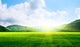 Green Field and Mountains Wall Decal