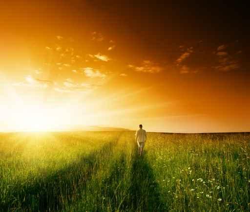 One Man and Field Wall Decal