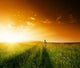 One Man and Field Wall Decal
