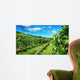 Waiheke Vineyard Wall Mural